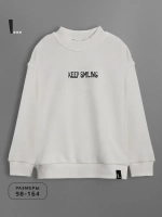 Свитшот для мальчика с принтом