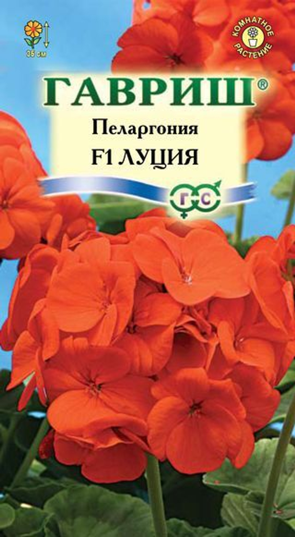 Пеларгония Луция F1 4 шт. Гавриш