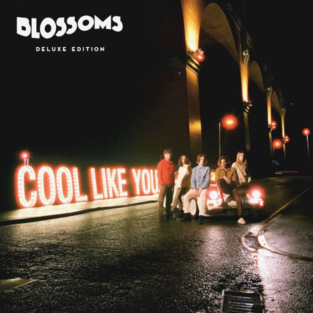 Blossoms / Cool Like You (LP)