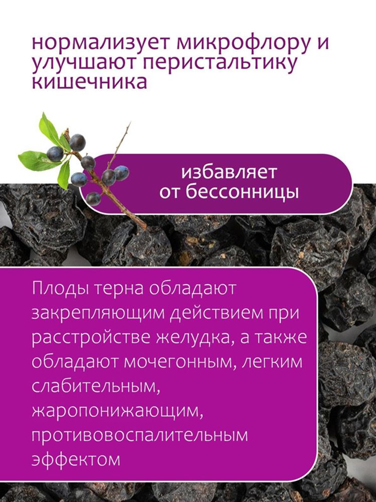 Терн ягоды