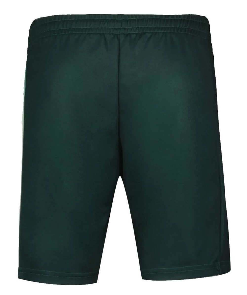 Теннисные шорты Le Coq Sportif Tennis Pro Short 24 N°2 - green