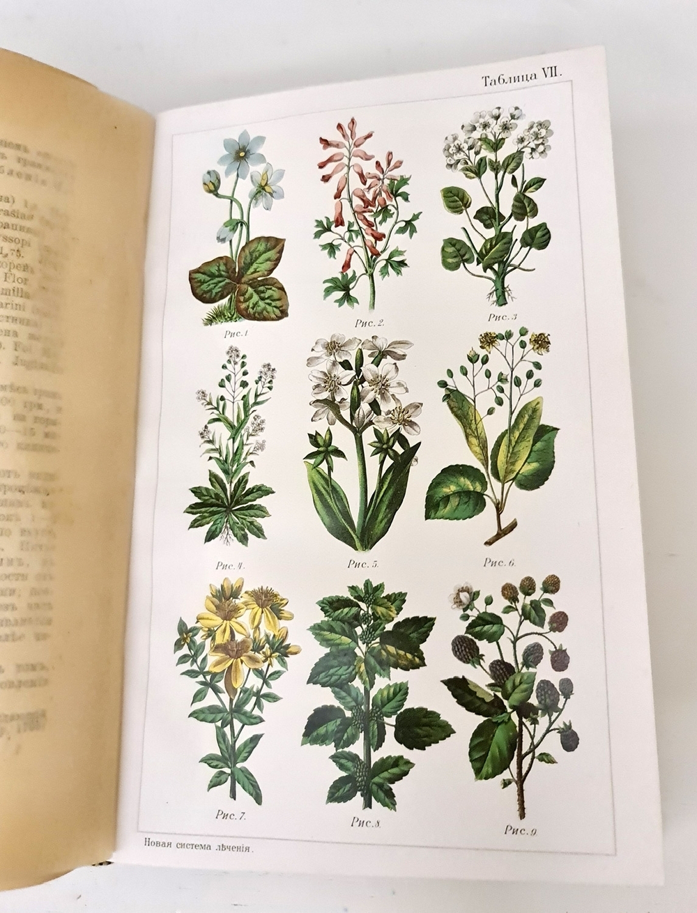 "Новый способ лечения. Настольная книга для здоровых и больных". Платен М.