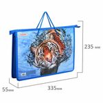 Папка на молнии с ручками ПИФАГОР, А4, 1 отделение, пластик, ручки-шнурок, "Wild cat", 270864