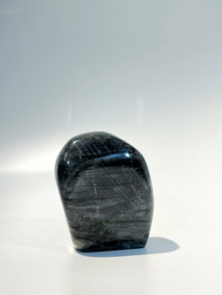 Срез Лабрадора M