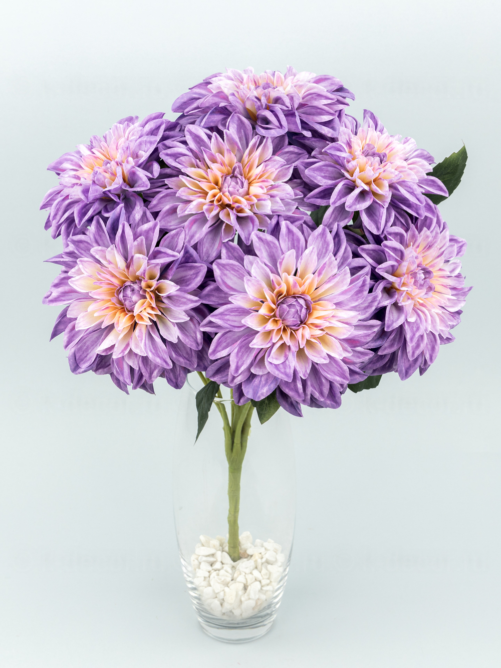 Букет георгина Флория