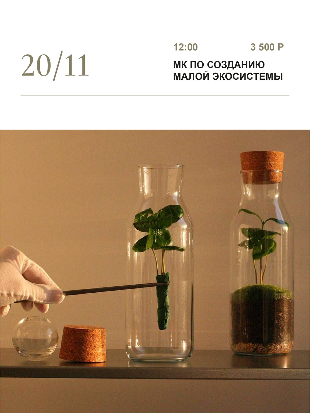 МК по созданию малой экосистемы