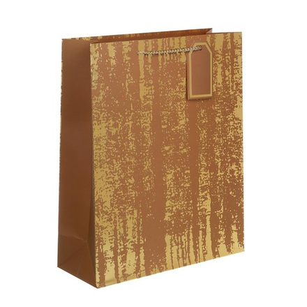 Пакет тм Fntastic подарочный, с шильдиком, 32x26x10см, тиснение, бумага, арт.11, 4 дизайна