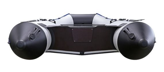 Надувная лодка ProfMarine PM 320 (CL) комби