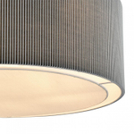 Светильник на штанге Lumion Zigrisa 8111/5
