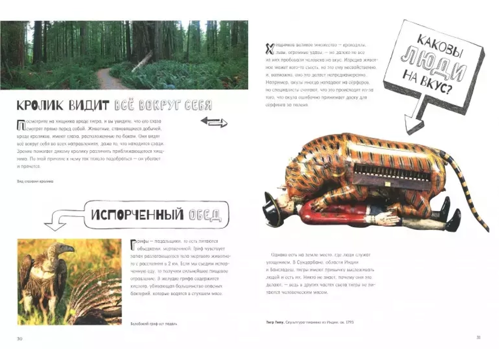 Почему рыбы не тонут?