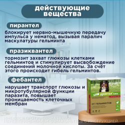 Таблетки для собак от гельминтов и лямблий со вкусом мяса Дронтал плюс XL , 2 таблетки в упаковке. Фебантел/Пирантел/Празиквантел