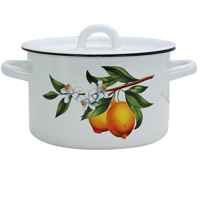 Кастрюля эмалированная 2л «Лимоны» 01-1610/4