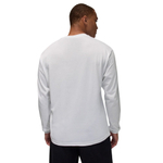 Баскетбольная мужская футболка Jordan Brooklyn AJ11 GFX