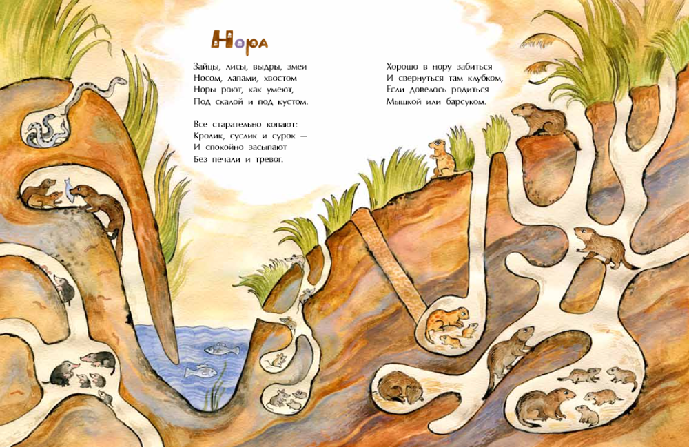 Гнёзда, дупла и берлоги