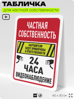 Табличка для частной территории "Частная собственность, видеонаблюдение 24 часа", на дом, для участка, организаций, предупреждающая, 40х30 см, Silver Plane x Айдентика Технолоджи