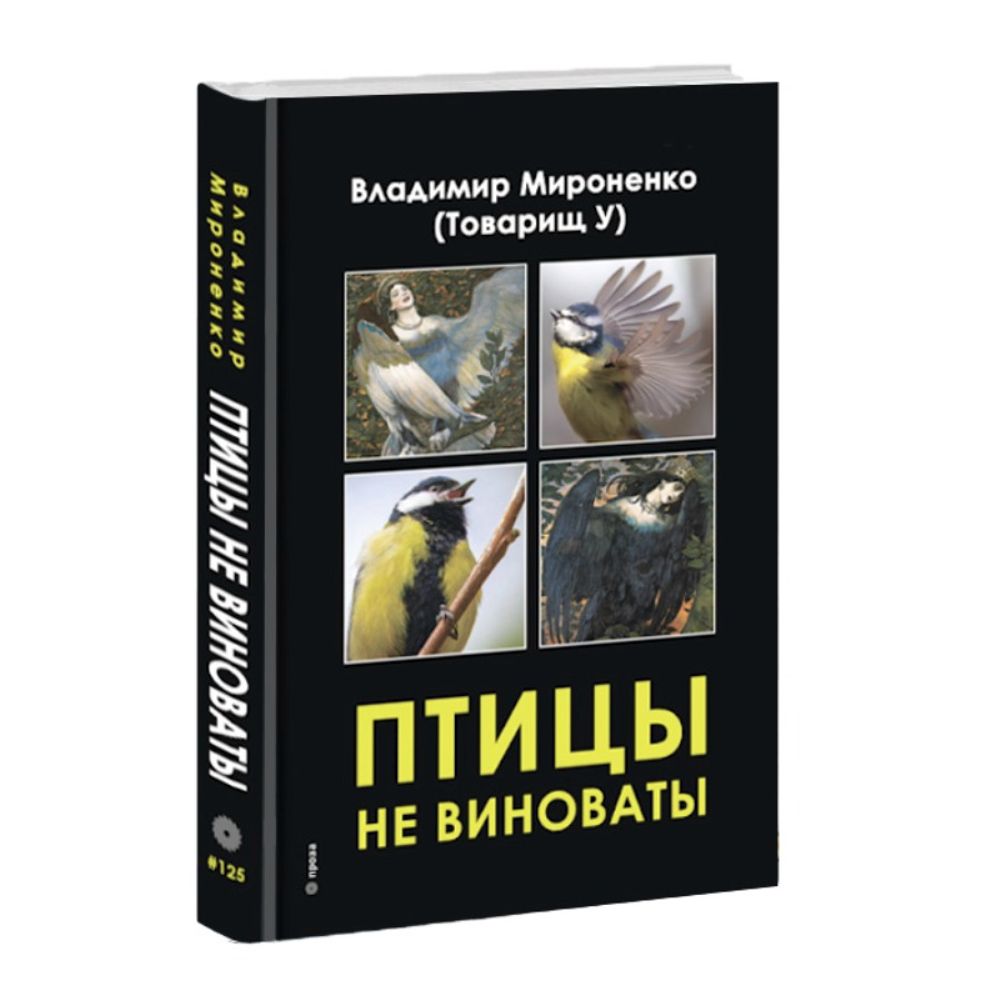 Птицы не виноваты. Владимир Мироненко