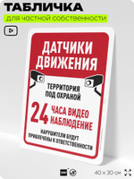 Табличка для частной территории "Датчики движения", на дом, для участка, организаций и частных территорий, предупреждающая, 40х30 см, Silver Plane x Айдентика Технолоджи