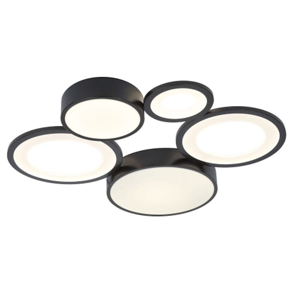 Светильник потолочный светодиодный Rivoli Aliona 6161-201 LED 110 Вт 3000 - 6000 К с пультом | Rivoli