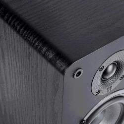 Полочная акустика Radiotehnika S-10N Black Ash