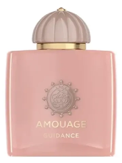 Amouage Guidance
