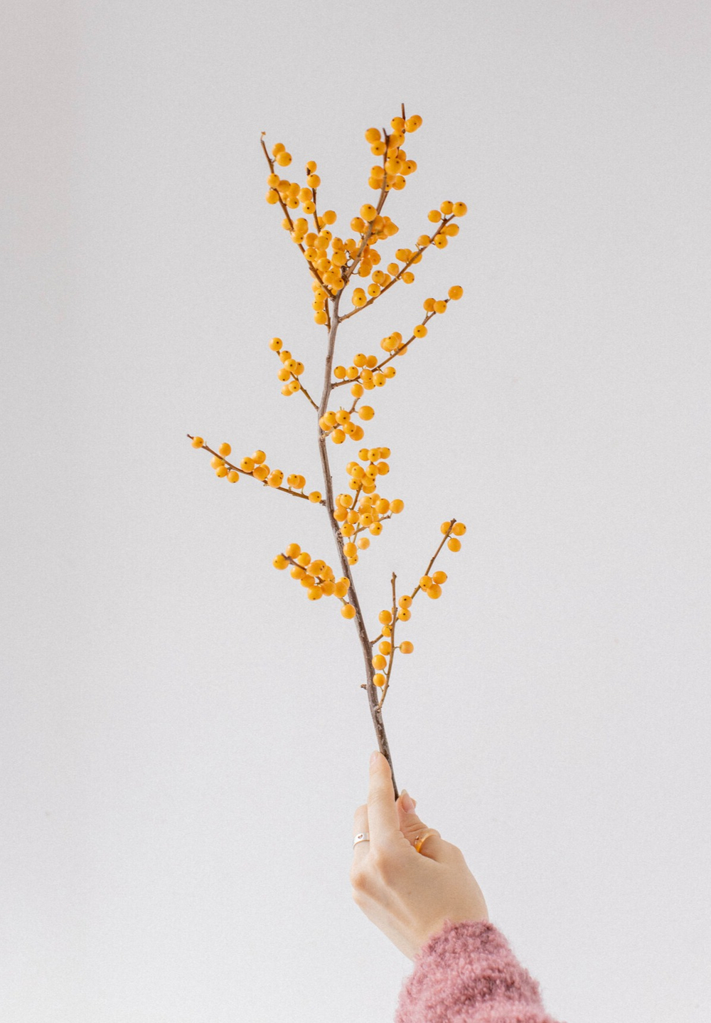 Ветка желтого илекса - купить новогодние ветки с ягодами для декора