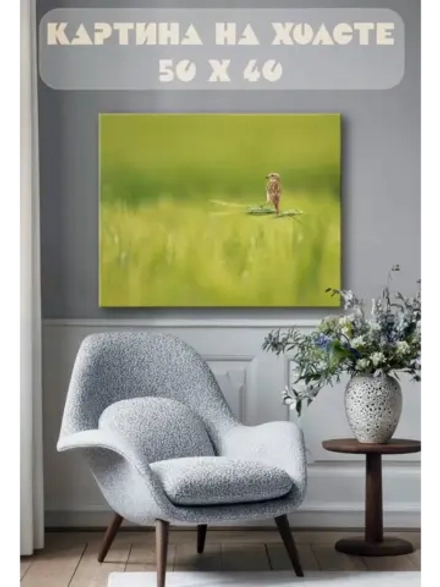 Картина на стену 40 X 50 Птица на колоске