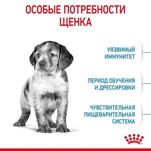 Корм для щенков средних пород, Royal Canin Medium Puppy