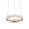 Подвесной светодиодный светильник ST Luce Cherio SL383.203.01
