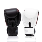 Боксёрские перчатки Fairtex BGV24 THE BEAUTY OF SURVIVAL - LIMITED EDITION