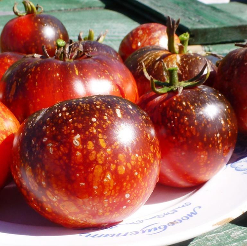 Помидоры - Blue Fire - Огненно-Синий