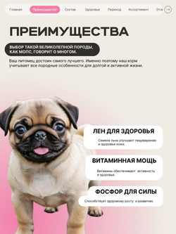 Корм сухой для щенков породы Мопс, с говядиной, 3 кг, QUATTRO