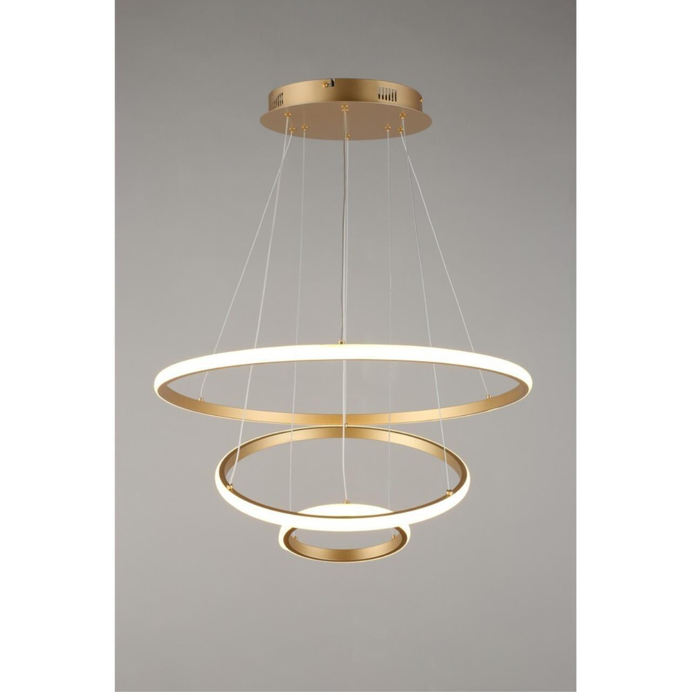 Подвесная светодиодная люстра Aployt Janina APL.018.13.60