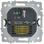 BRITE Розетка USB A+C 45Вт высокоскоростная зарядка РЮ11-2-БрБ белый IEK