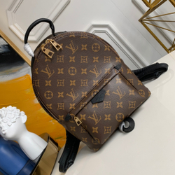 Louis Vuitton Palm Springs PM