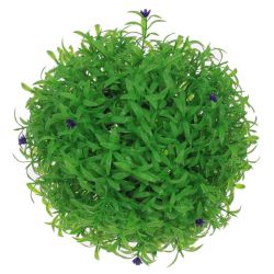 GAEM Цветочная композиция "Шар Самшит", L18 W18 H18 см