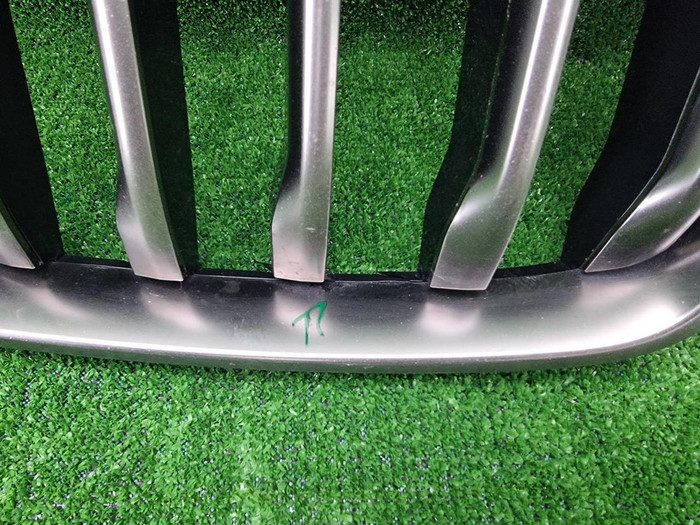 Решетка радиатора BMW X7 G07 (2019-2022)