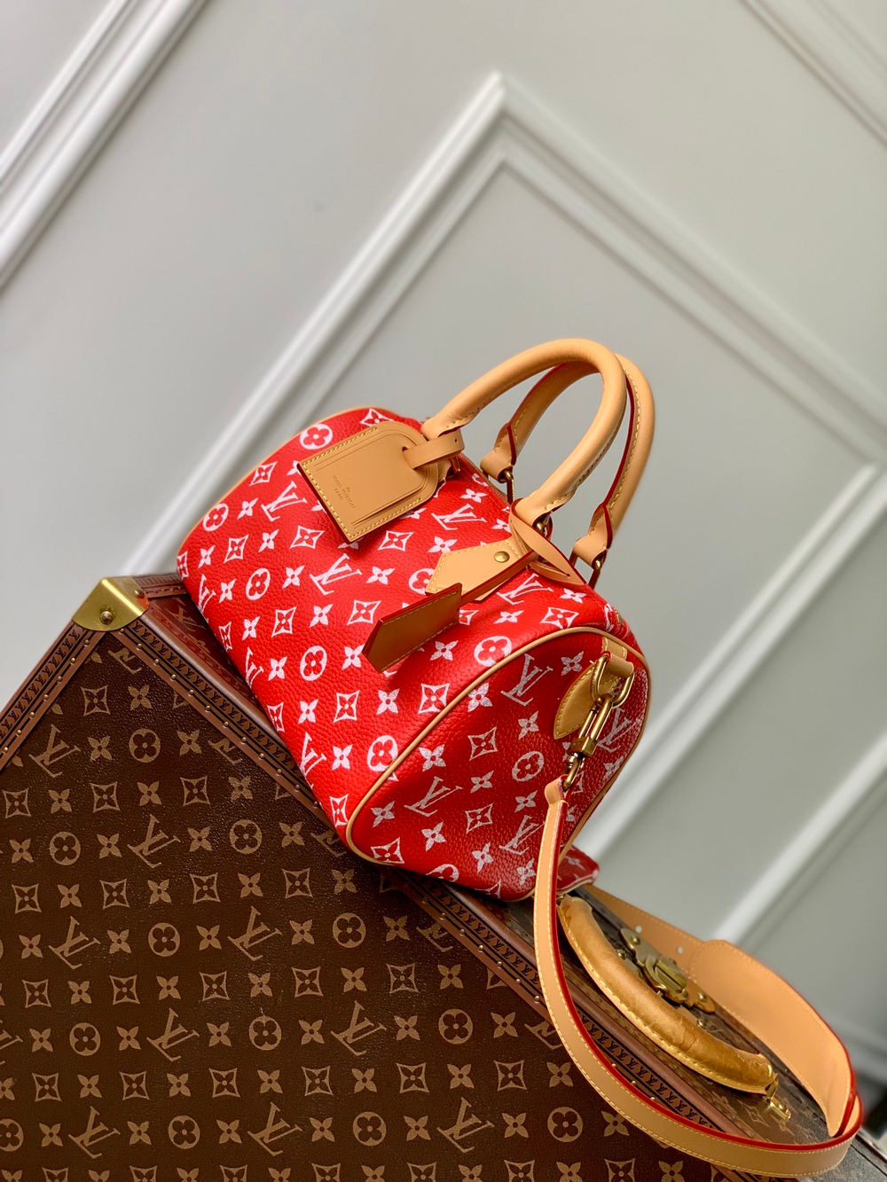 Louis Vuitton Speedy P9 Bandouliere 25