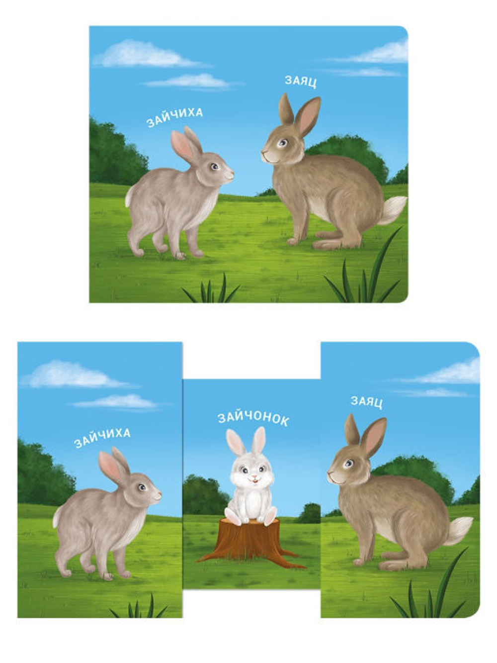 Книжки - задвижки. Мама, папа и малыш. Дикие животные