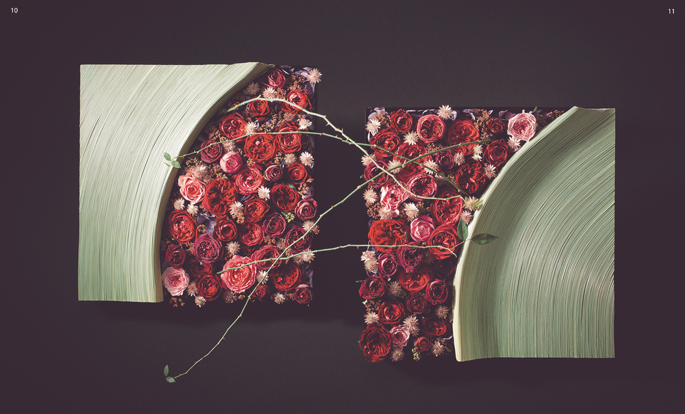 International Floral Art 2012/2013