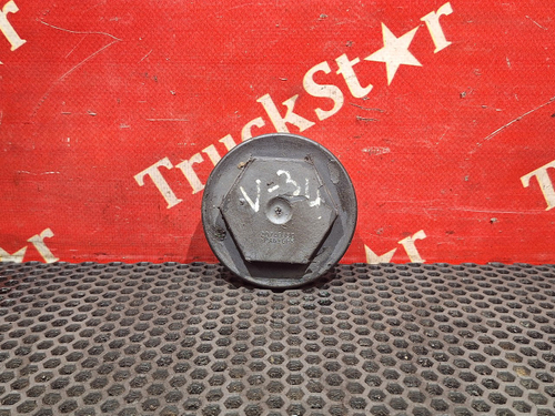 Крышка шкворня