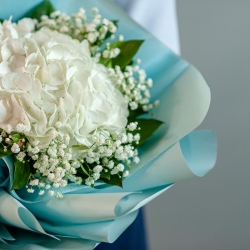 Комплимент с гортензией