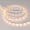 Светодиодная лента Arlight 4,8W/m 60LED/m 2835SMD теплый белый 5M RT-A60-5mm 12V Warm2700 028615(2)