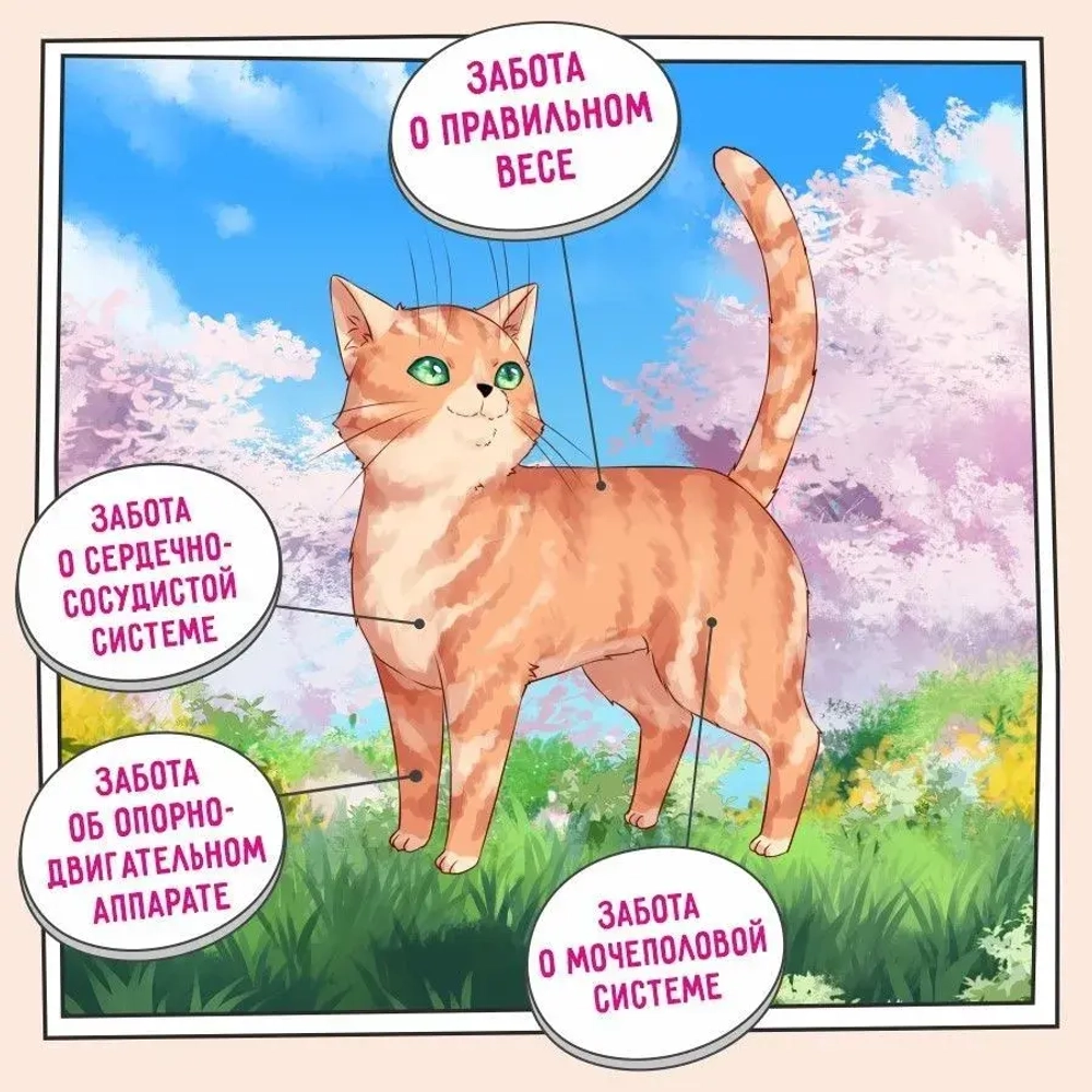 Корм для кошек ZILLII (Зилли) Cat Sterilized Light 10кг белая рыба и лосось сухой для кошек с избыточным весом