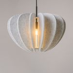 Подвесной светильник Maytoni MOD398PL-01S