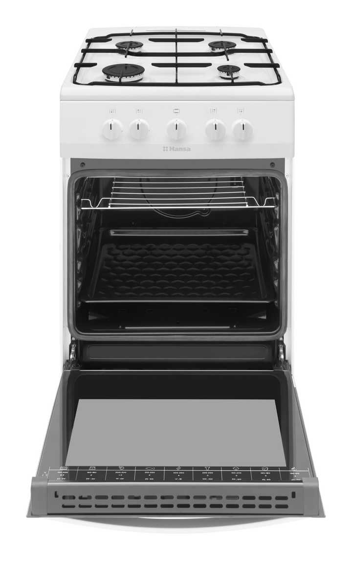 Газовая плита Hansa FCGW51041