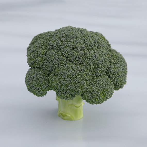 Батори F1 семена капусты брокколи (Syngenta / Сингента) культура – фото 3