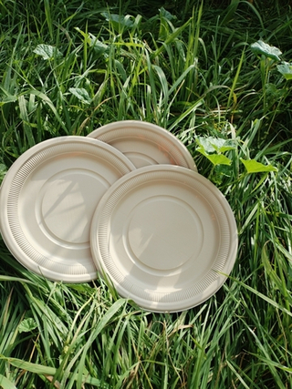 БИО Тарелка 230*18мм одн.кукурузный крахмал Крафт /6 шт