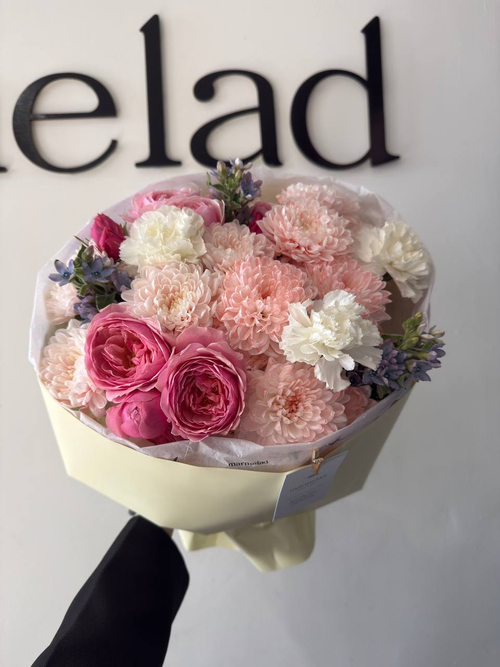 собран сегодня #15