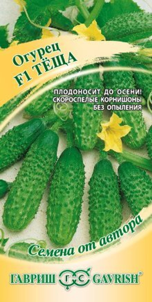 Огурец Теща  F1 10шт/ск/пк/Гавриш