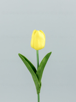 Тюльпан латекс Микс (набор из 14 штук)